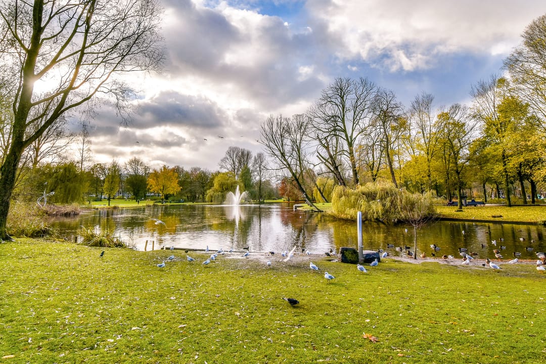 Photo 22 of Vrolikstraat 52-2