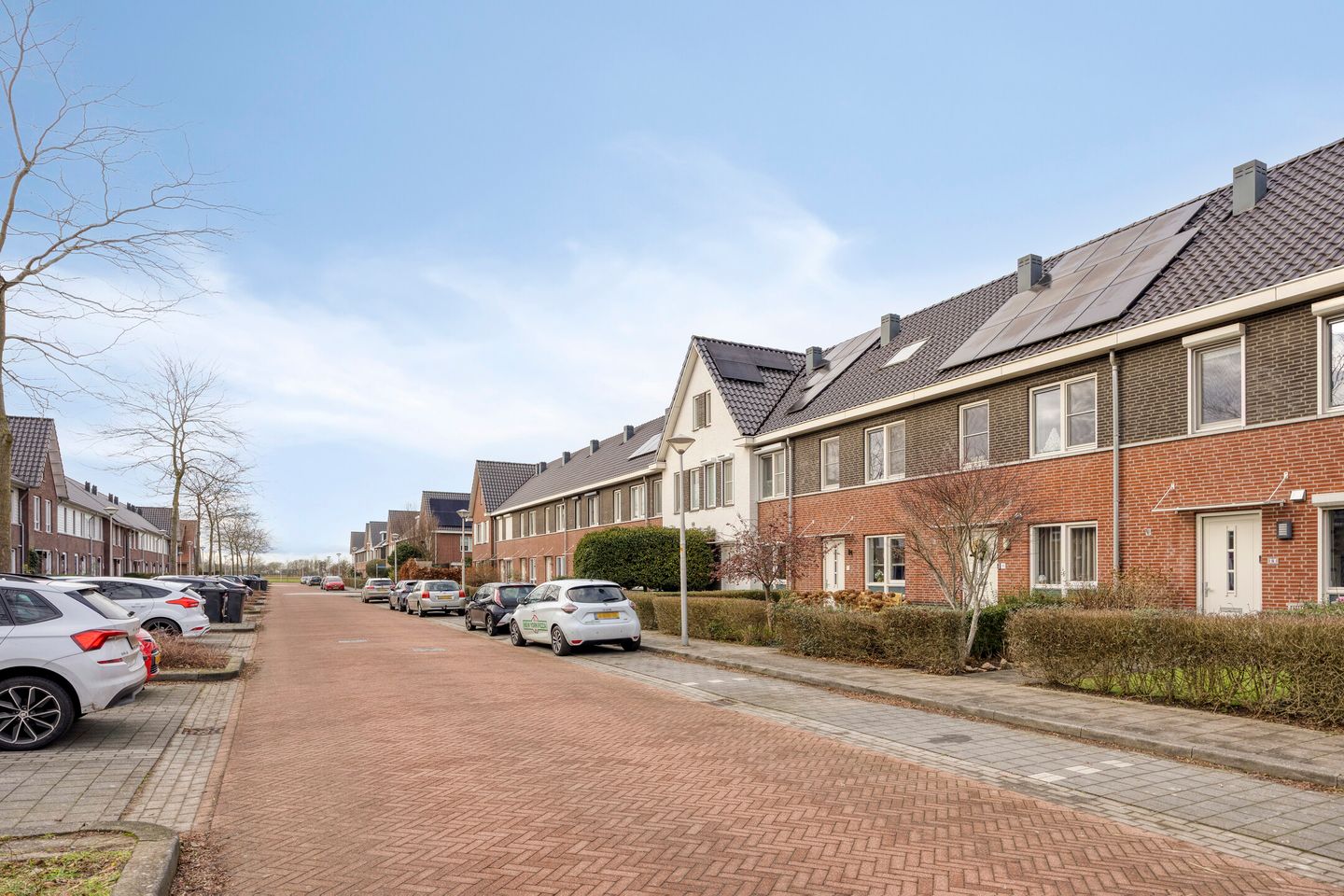 Foto 4 van Berenklauw 8