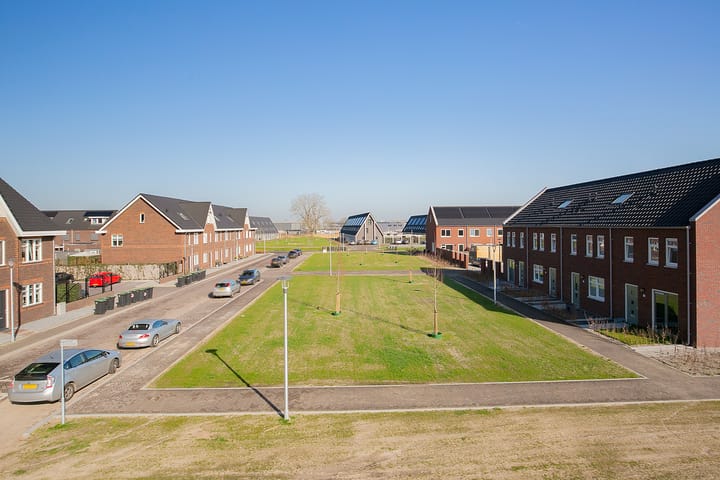 Foto 8 van Satijnzwam 109