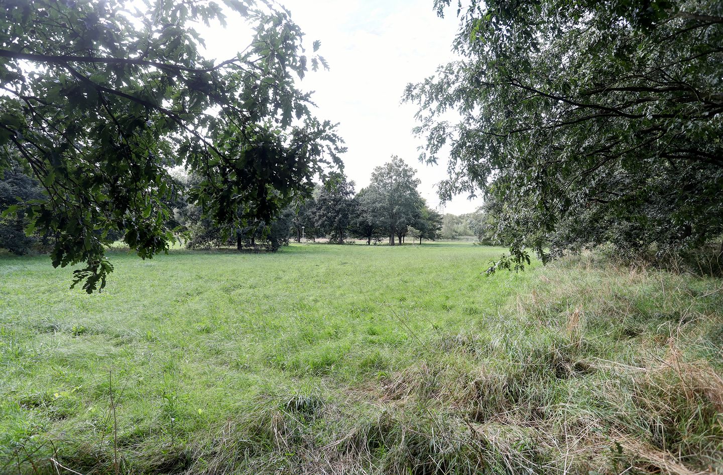 Photo 29 of Malvert 6939