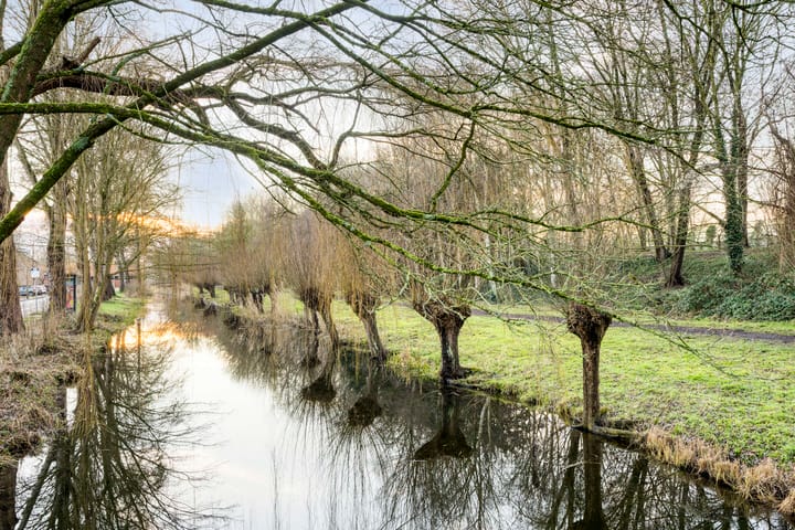 Foto 42 van Prunuslaan 5