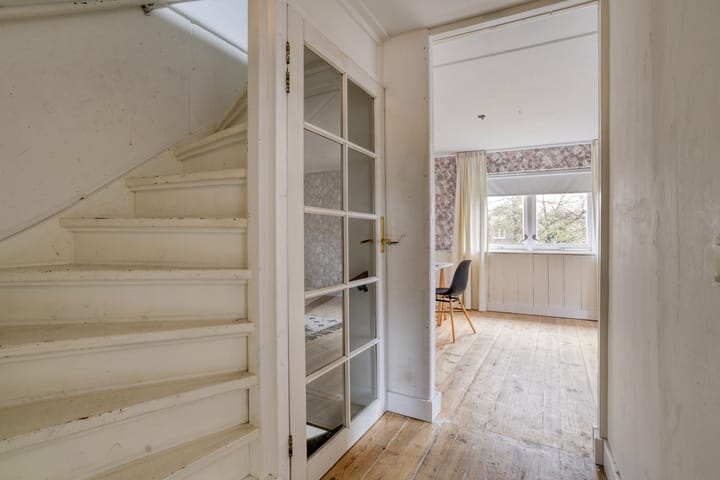 Foto 17 van Leverkruid 18