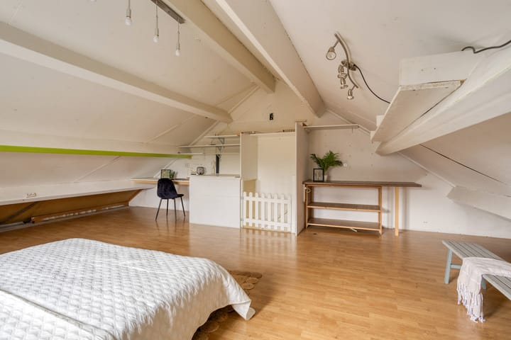 Foto 28 van Leverkruid 18