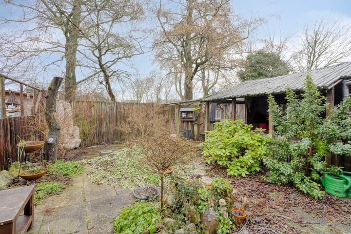 Foto 30 van Leverkruid 18