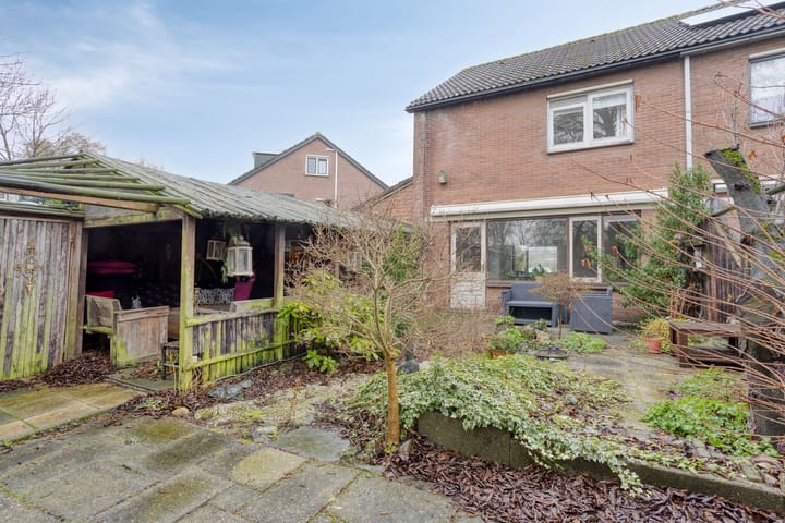 Foto 31 van Leverkruid 18