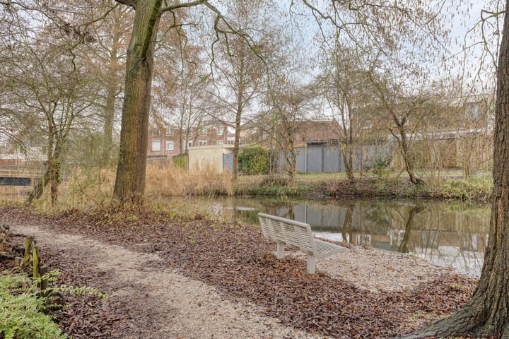 Foto 37 van Leverkruid 18