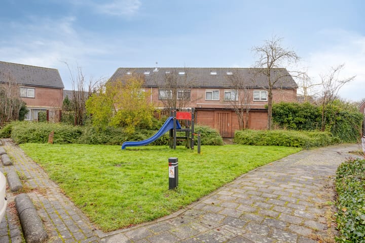 Foto 5 van Leverkruid 18