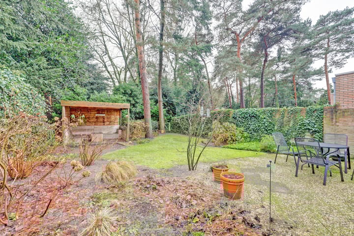 Foto 33 van Mastbos 10