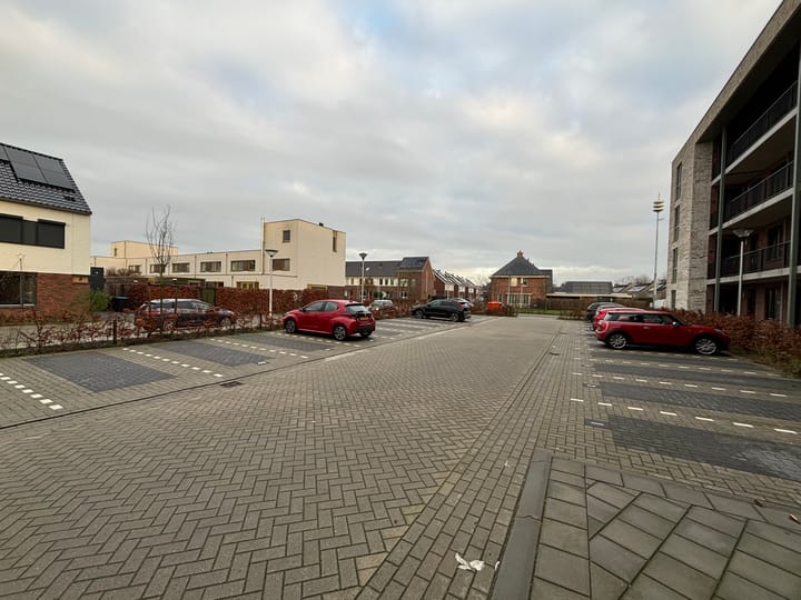 Foto 3 van Ierse heide 11