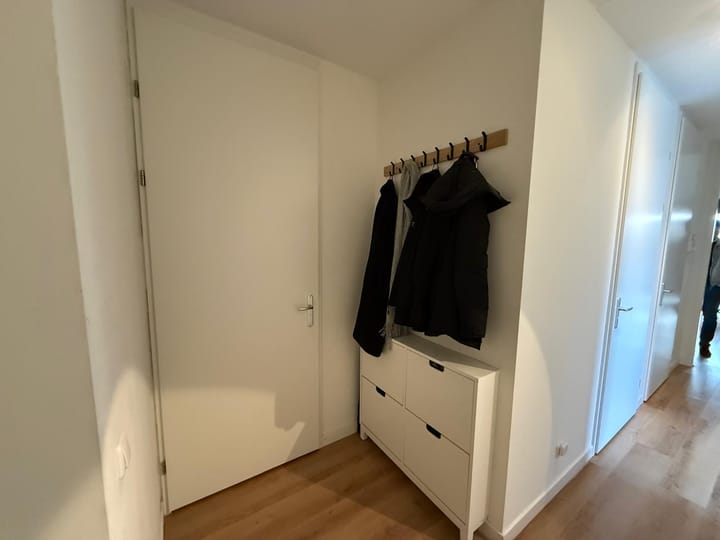 Foto 8 van Ierse heide 11