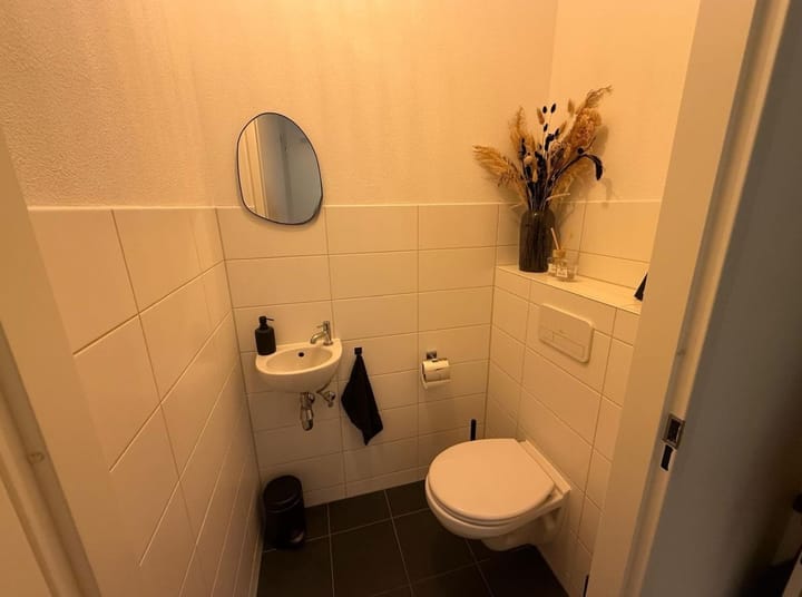 Foto 9 van Ierse heide 11