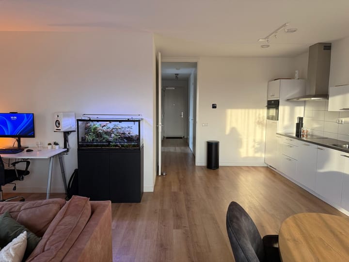 Foto 11 van Ierse heide 11