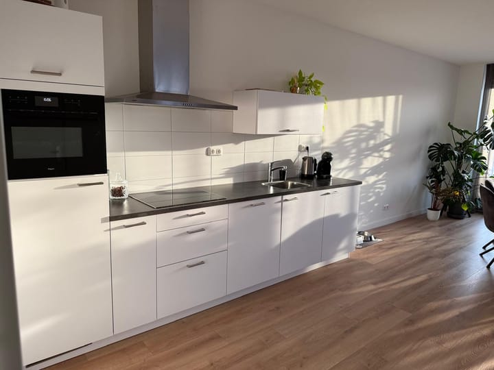 Foto 13 van Ierse heide 11