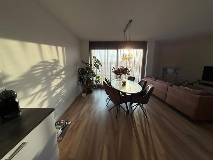 Foto 15 van Ierse heide 11