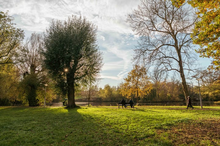 Foto 24 van Balthasar Floriszstraat 12-1