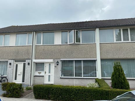 undefined main image