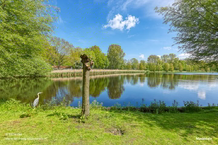 Foto 50 van Markgraaflaan 184