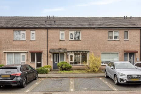 undefined main image