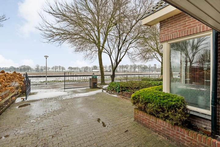 Foto 4 van Waterlelie 11