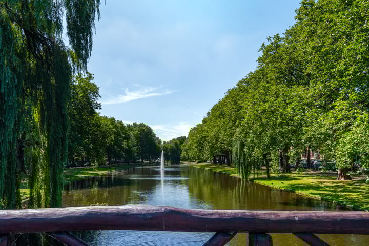 Foto 5 van Heemraadssingel 103-E