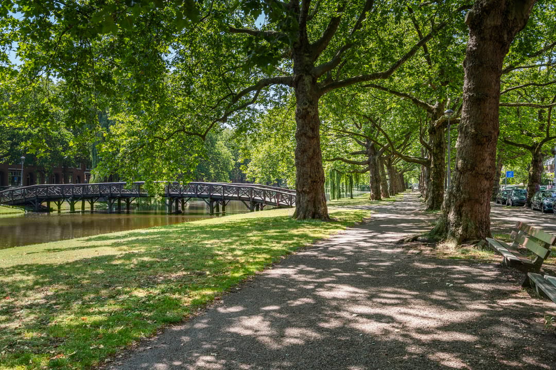 Foto 37 van Heemraadssingel 103-E