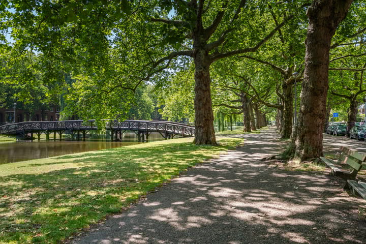 Foto 37 van Heemraadssingel 103-E