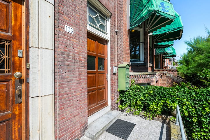 Foto 46 van Heemraadssingel 103-E