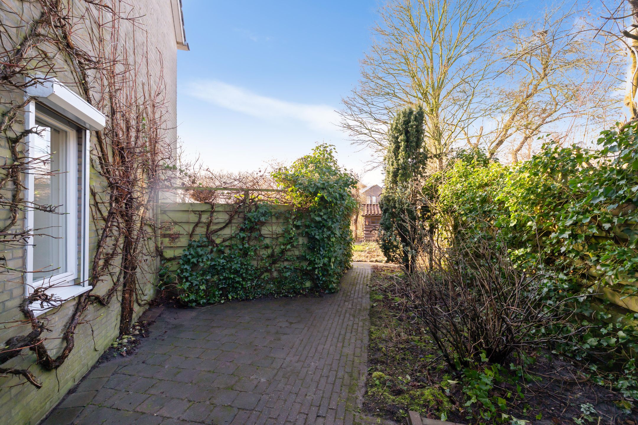 Foto 15 van Froukemaheerd 191