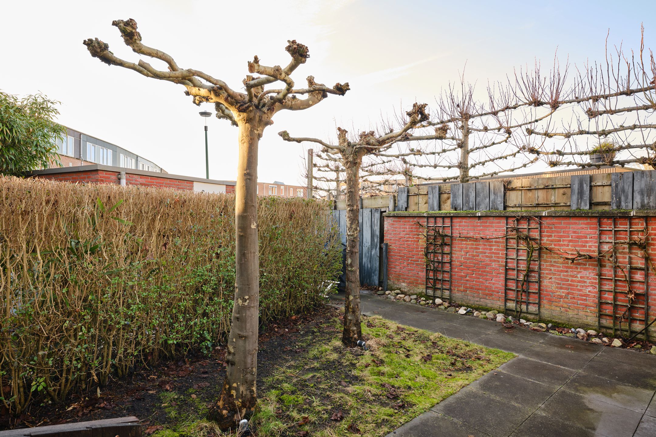 Foto 27 van Steppemeer 5