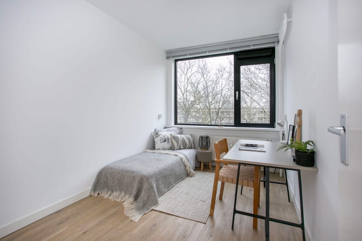 Foto 13 van Eisenhowerlaan 150