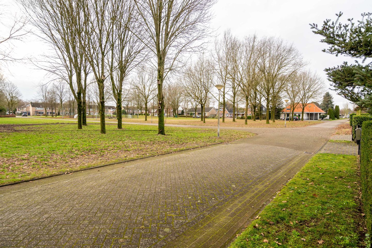 Foto 50 van Iepenlaan 15