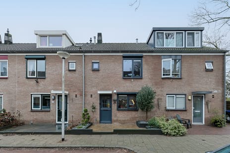 Maarten 't Hartstraat thumbnail