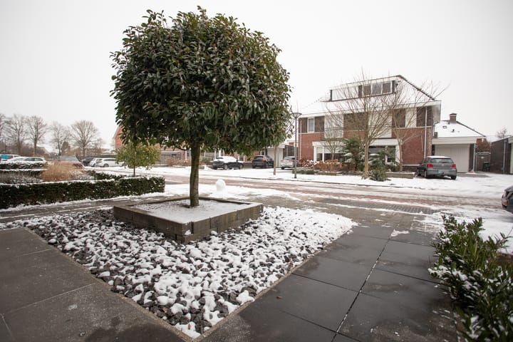 Foto 6 van Waterkolk 12