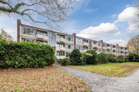 Hertenlaan thumbnail