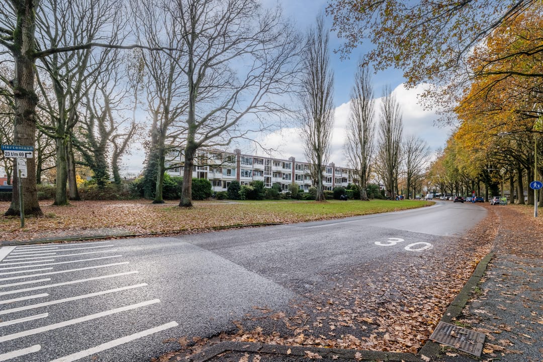 Foto 43 van Hertenlaan 59