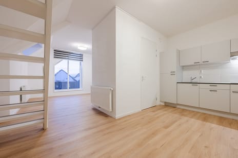 Strijpsestraat thumbnail