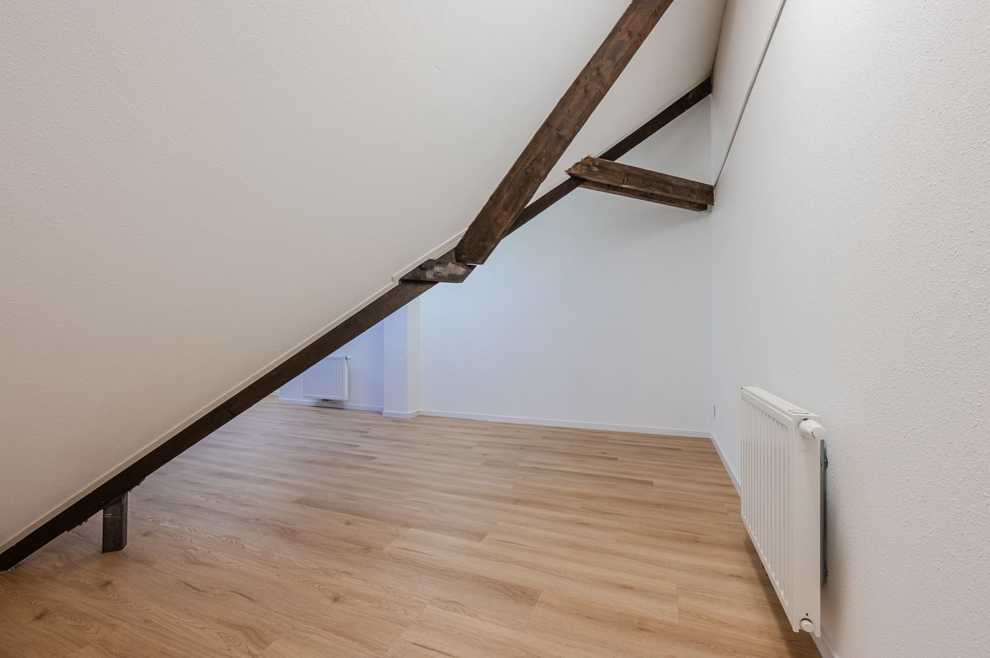 Foto 19 van Strijpsestraat 133-K