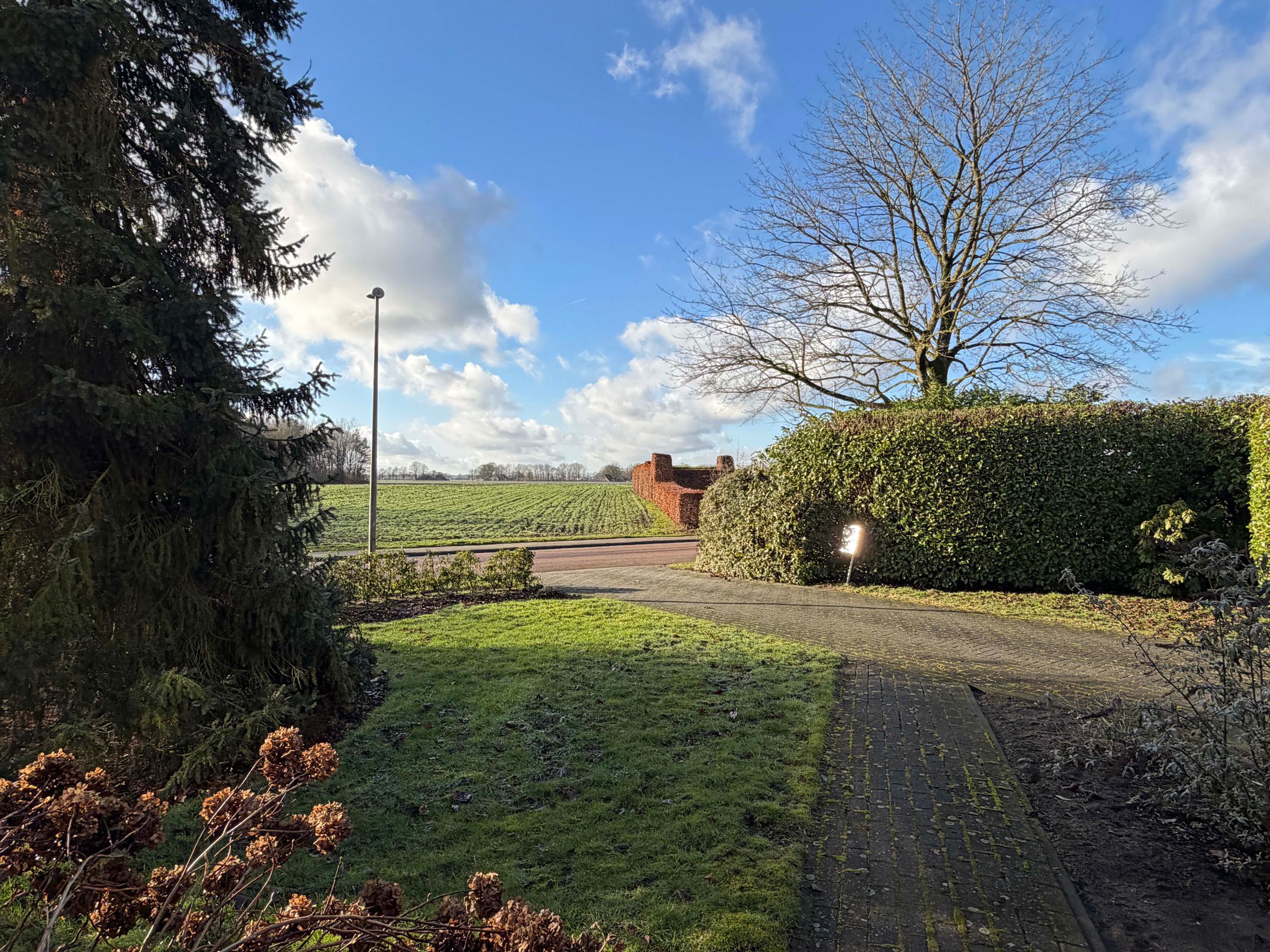 Photo 9 of Westerwijk 57