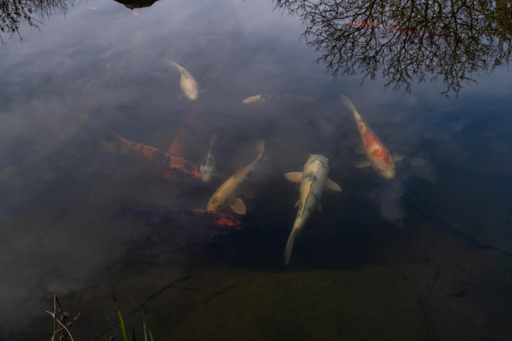 Foto 18 van Molenstraat 3