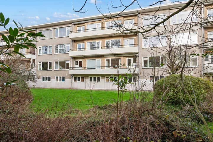 Foto 28 van Laurens Reaellaan 8-I