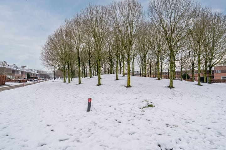 Photo 74 of Het Bildt 157