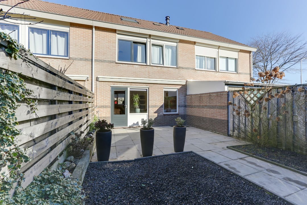 Foto 2 van Golden Delicious 33