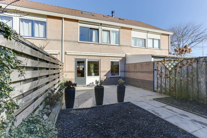 Foto 2 van Golden Delicious 33