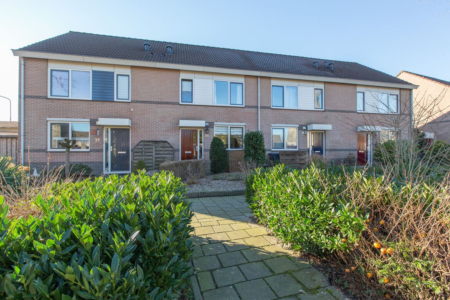 Foto 5 van Golden Delicious 33