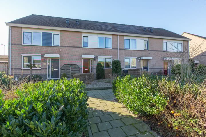 Foto 5 van Golden Delicious 33