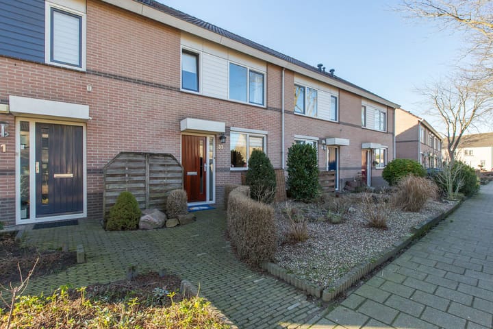 Foto 6 van Golden Delicious 33