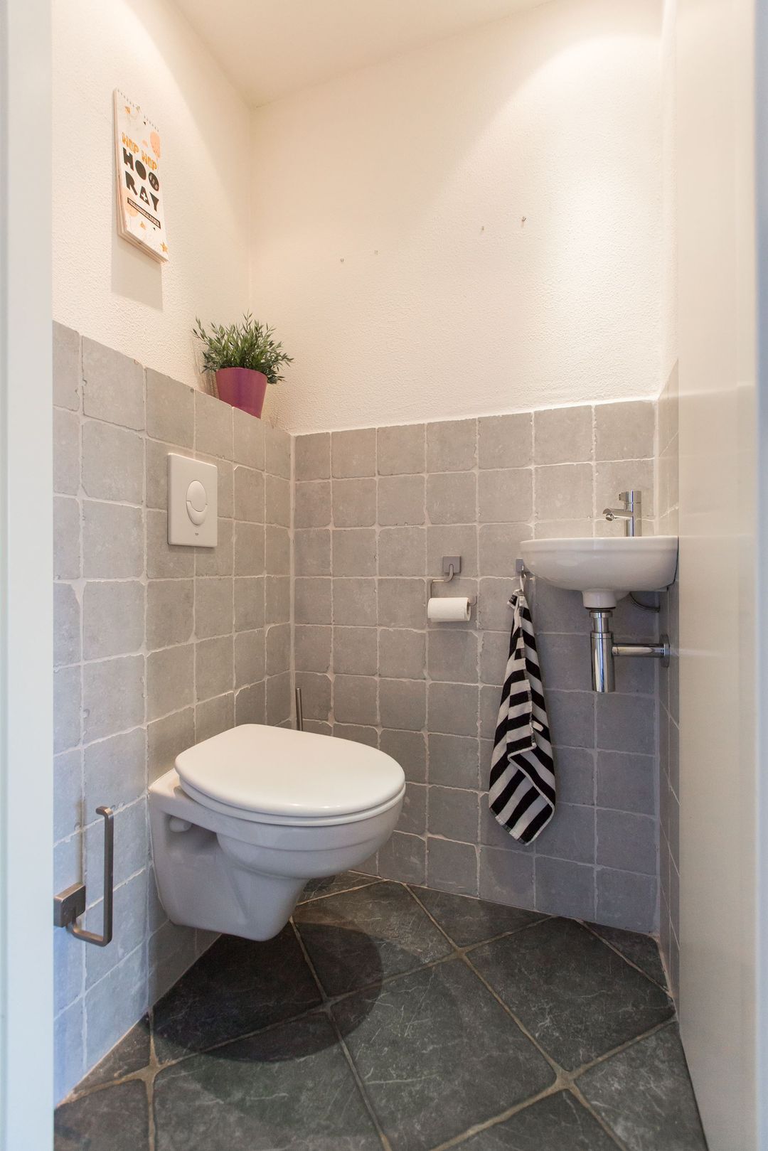 Foto 8 van Golden Delicious 33