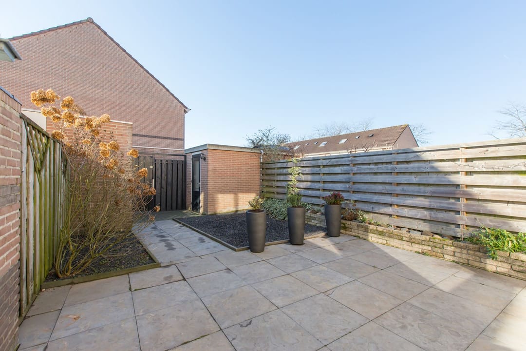 Foto 17 van Golden Delicious 33