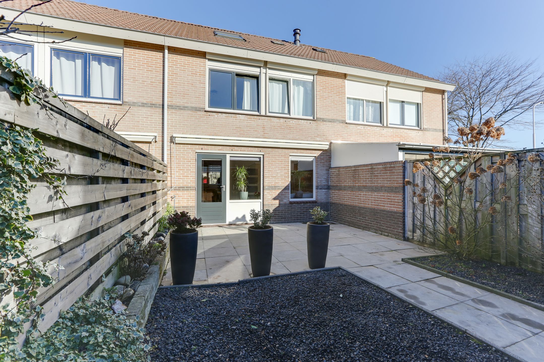 Foto 18 van Golden Delicious 33