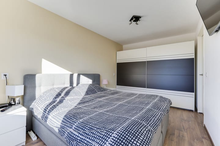 Foto 21 van Golden Delicious 33